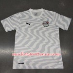 Maillot/Tenue Égypte Extérieur 2019
